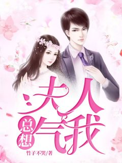 私藏读物夫人总想气我时莜萱盛翰鈺完结版免费阅读-欧迈阅读网