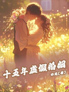 主角沈冉季闻小说爆款十五年虚假婚姻完整版小说