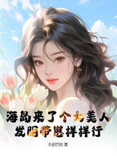 海岛来了个大美人,发明带崽样样行完整版-沈安宁宋文远在线全文阅读