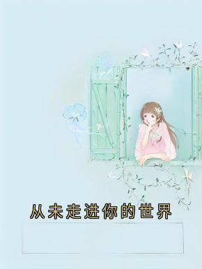 (精品)从未走进你的世界小说
