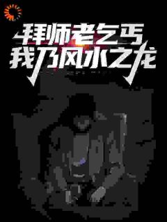 拜师老乞丐：我乃风水之龙小说陈启林苏荷免费阅读