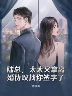 陆总,太太又拿离婚协议找你签字了无广告阅读 纪舒陆津川免费在线阅读