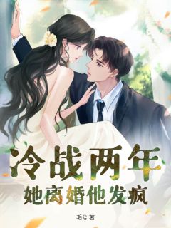 冷战两年，她离婚他发疯小说最后结局，许轻衣陆庭深百度贴吧小说全文免费