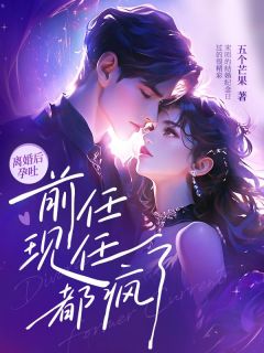 宋昭洛锦城小说离婚后孕吐,前任现任都疯了免费阅读