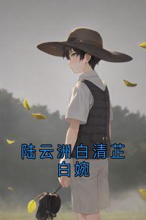 精彩小说陆云洲白清芷白婉陆云洲白婉全章节在线阅读-欧迈阅读网