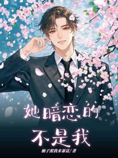 苏以柠肖晨风蒋宸小说结局