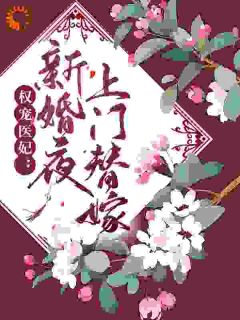 权宠医妃：新婚夜上门替嫁by朱雨沫小说完结版在线阅读-欧迈阅读网