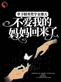 拿下精英奖学金那天,不爱我的妈妈回来了主角是陆冉陆枫小说百度云全文完整版阅读