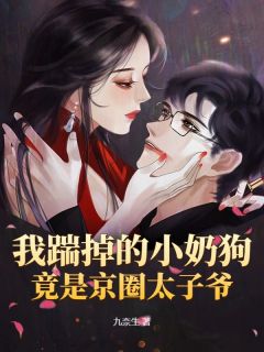 姜妩陆宴爵我踹掉的小奶狗竟是京圈太子爷全章节免费阅读