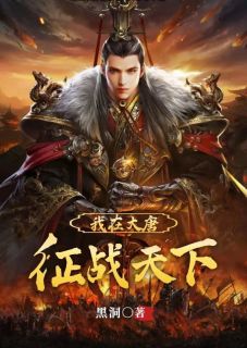 精选好书我在大唐征战天下无删减版全文在线