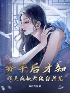 主角是沈清禾贺景麟的分手后才知,我是疯批大佬白月光抖音热门小说