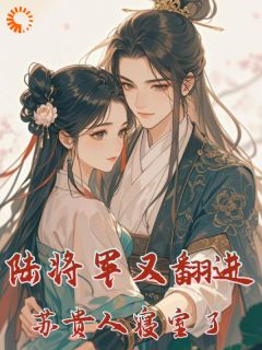 火爆陆将军又翻进苏贵人的寝室了小说,主角是陆北芙苏晚蓉在线阅读全文无删减