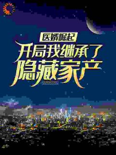 高质量小说医婿崛起：开局我继承了隐藏家产在线试读