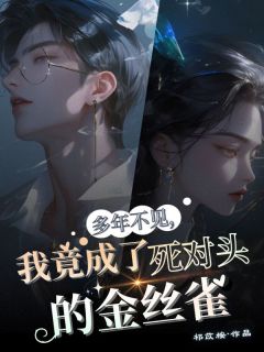 多年不见，我竟成了死对头的金丝雀完整版-时愿沈言在线全文阅读