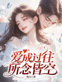 爱成过往,所念皆空小说(完结)-念安宁昊章节阅读