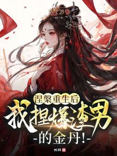 爆款小说涅槃重生后,我捏爆渣男的金丹!在线阅读-玄镜玄女免费阅读