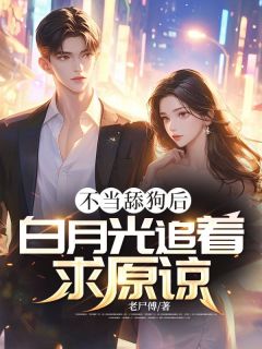 主角秦槐序夏安小说完整版-不当舔狗后,白月光追着求原谅!免费阅读全文-欧迈阅读网