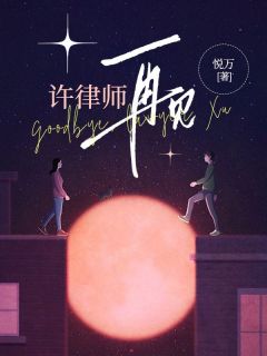 许律师，再见秦亦乔许泽言全本小说（许律师，再见）全章节小说目录阅读