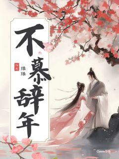 主角是天华苏辞安雪容的小说叫什么不慕辞年免费全文阅读