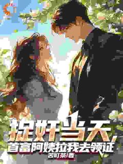 捉奸当天,首富阿姨拉我去领证在哪免费看,叶安丁心慧小说章节目录阅读-欧迈阅读网