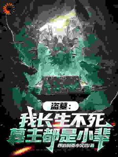 (独家)盗墓：我长生不死，墓主都是小辈陈玄霍湘云小说