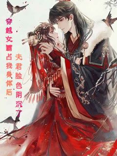 穿越女霸占我身体后,夫君脸色阴沉了免费小说作者沉落月全文阅读-欧迈阅读网