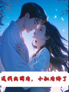 强烈推荐送我出国后，小叔后悔了凌夕颜顾裴司在线阅读-欧迈阅读网