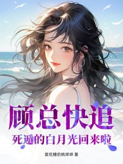 苏秋雨顾墨霆是哪部小说的主角 苏秋雨顾墨霆全文阅读