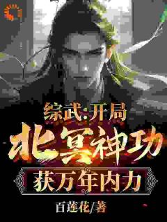 朱文轩穿越到综武世界小说(完结)-朱文轩段正淳章节阅读-欧迈阅读网