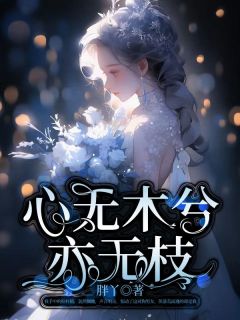 小说推荐心无木兮亦无枝完结版全章节阅读