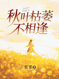 爆款小说秋叶枯萎不相逢主角骆淮予程落落全文在线完本阅读