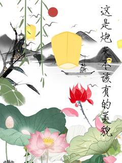 苏涉蓝曦臣全集小说_这是炮灰不该有的美貌完结版阅读