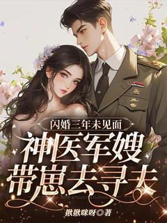 闪婚三年未见面，神医军嫂带崽去寻夫宋知秋傅越之全章节目录免费阅读