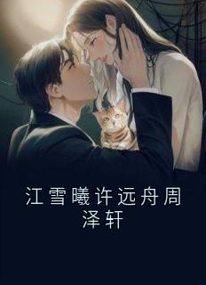 江雪曦的小说江雪曦许远舟周泽轩主角是江雪曦许远舟-欧迈阅读网