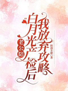 老公陪白月光产检后，我放弃攻略小说主角是宋希江宴离全文完整版阅读