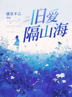 旧爱隔山海[抖音]小说-辛怡陆鸣无删减阅读-欧迈阅读网