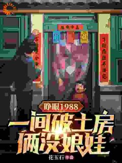 睁眼1988一间破土房俩没娘娃小说(完结)-江山江红旗无删减阅读