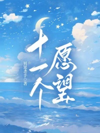 精品小说十一个愿望全文目录畅读