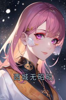 主角许西城林昭李念念小说，西城无昭昭免费阅读全文