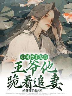 小可怜不爱后，王爷他跪着追妻免费章节小可怜不爱后，王爷他跪着追妻点我搜索全章节小说