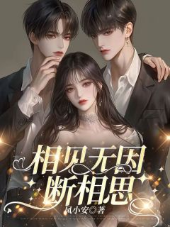 高质量小说相见无因断相思在线试读