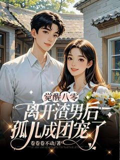 (抖音)觉醒八零,离开渣男后孤儿成团宠了 主角杨晚吟段亦琛-欧迈阅读网