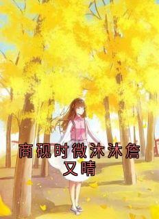 (精品)商砚时微沐沐詹又晴小说