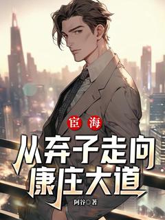 宦海：从弃子走向康庄大道秦林田小甜全章节目录免费阅读