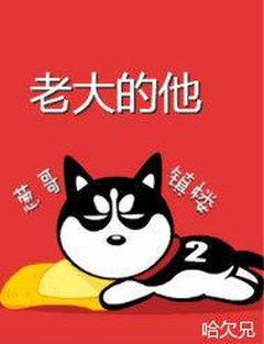 熬夜也要看完的住手，他是你老大！小说推荐