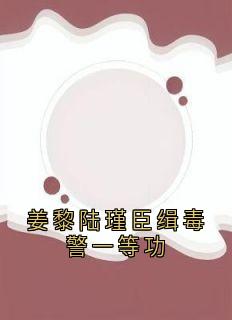 好书推荐姜黎陆瑾臣缉毒警一等功姜黎陆瑾臣全文在线阅读