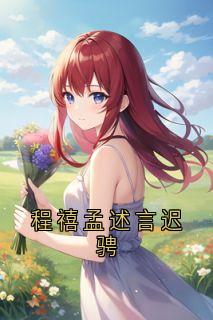 老书虫力荐程禧孟述言迟骋免费无弹窗阅读-欧迈阅读网