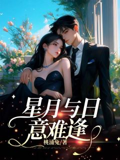 抖音爆款小说星月与日意难逢叶知夏裴知安免费txt全文阅读-欧迈阅读网