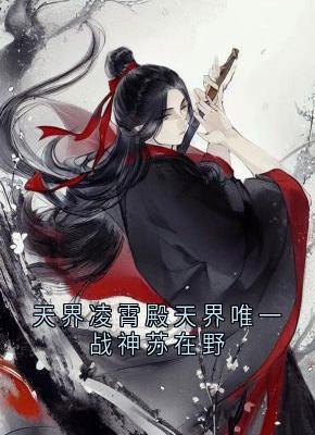 小说推荐天界凌霄殿天界唯一战神苏在野完结版全章节阅读-欧迈阅读网