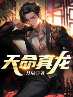 姜晨叶清婵(原文完整)天命真龙无弹窗免费阅读